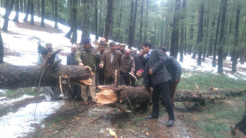 DC Kupwara visits Forest Compartment Dedkoot