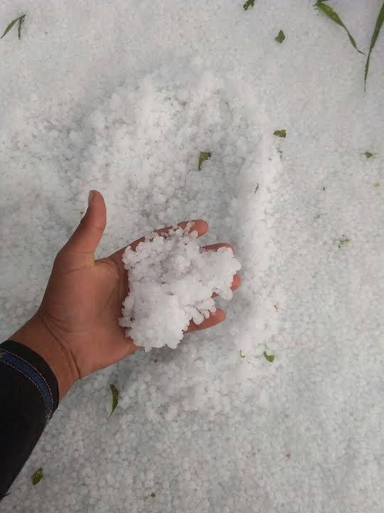 Hailstorm destroy crops in Tral