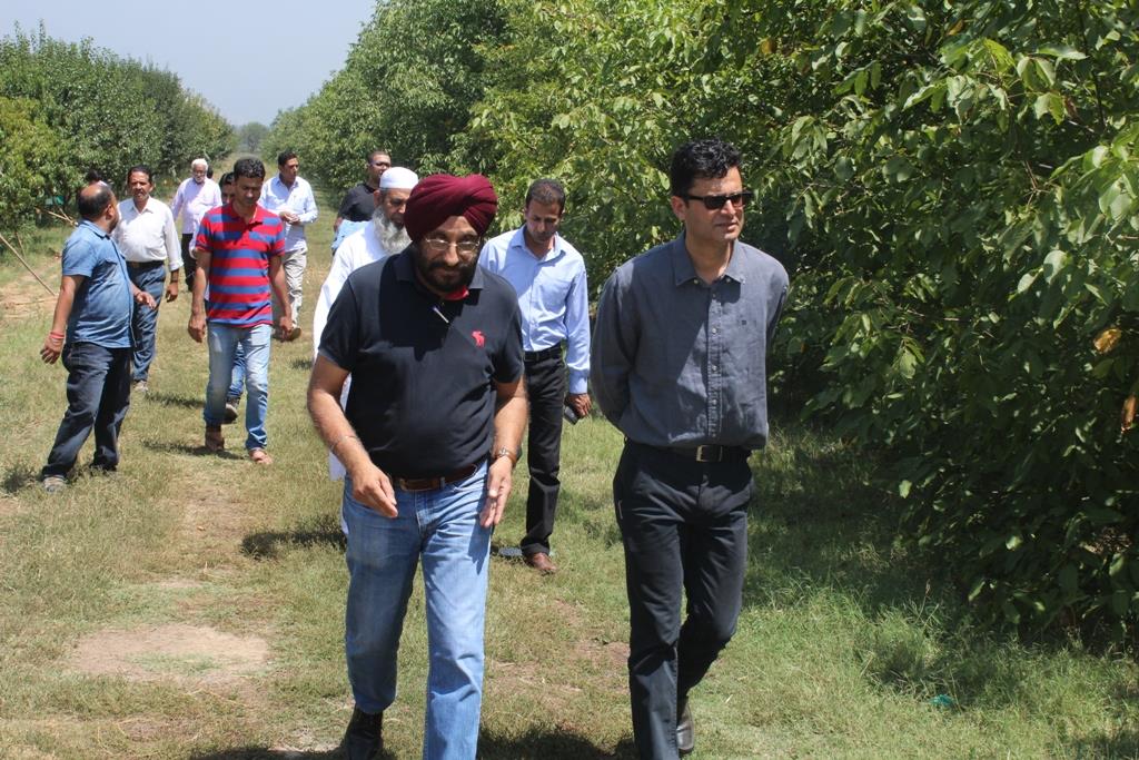 Tourism deptt to promote horticulture tourism