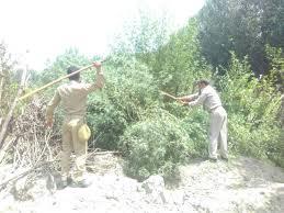 Police destroys bung in Awantipora