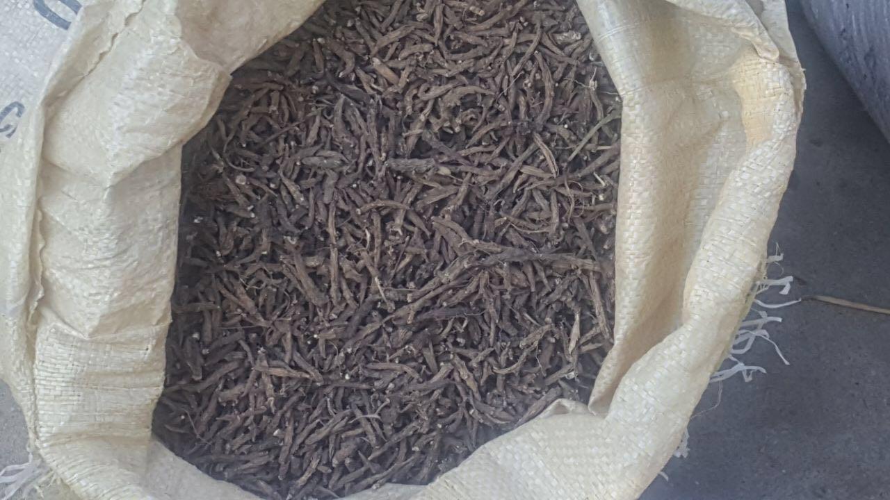 Safapora police arrests two persons with banned medicinal plants