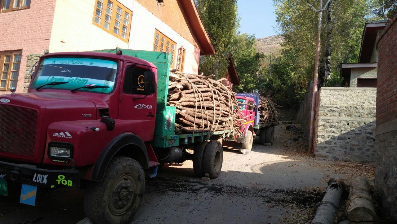 ‘Two trucks carrying illegeal timber seized in Bandipore’