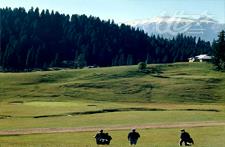Caddies Golf tournament held at Gulmarg