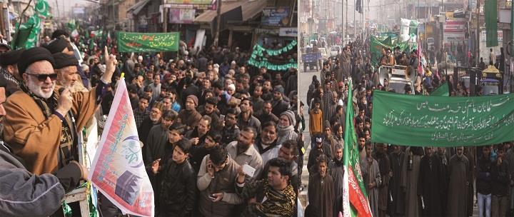 Aga Hasan leads Milad procession in Magam