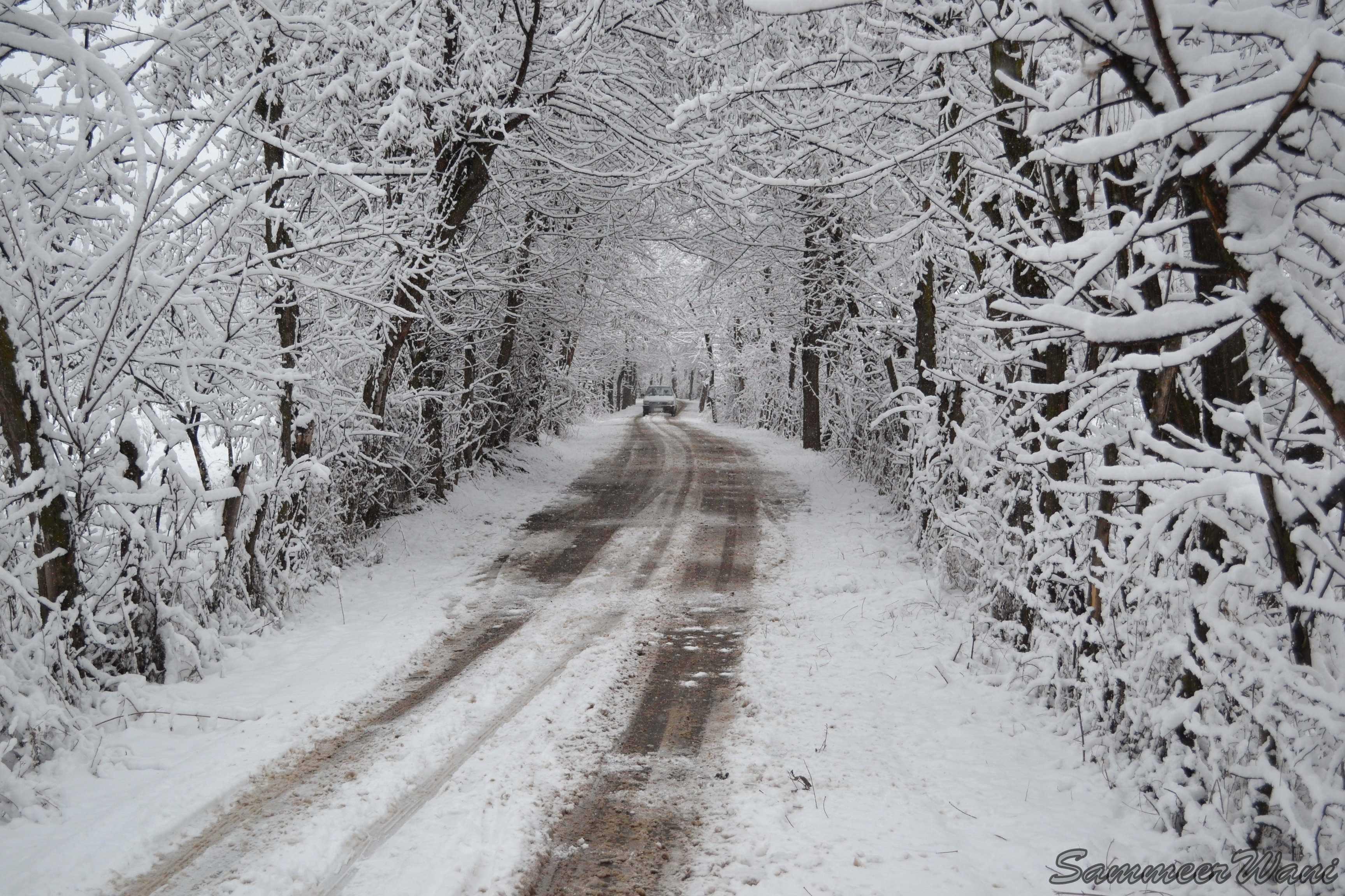 Kupwara-Tanghdar road closed as Sadna top receives fresh snowfall