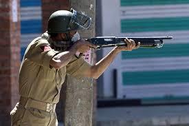 Tarigami seeks withdrawal of pellet gun, terms it symbol of 'state repression ' in Kashmir