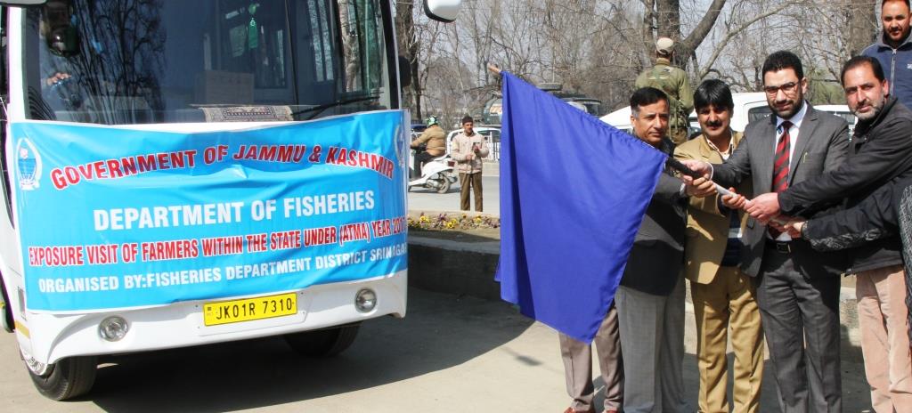 Fisheries sector offers lucrative return on investments: DC Srinagar
