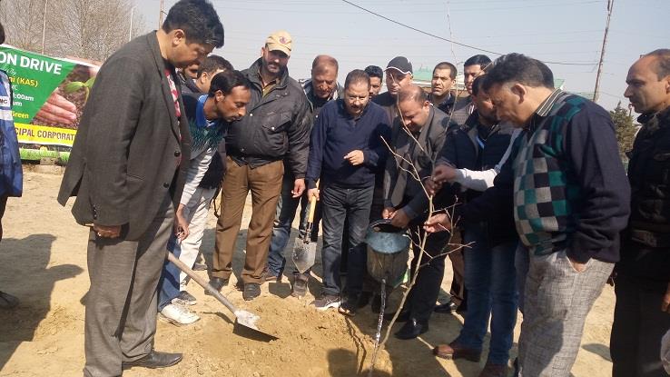 SMC kick starts plantation drive