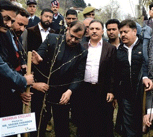 J&K Bank Celebrates World Arbour Day