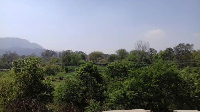 Four militants killed in Sunderbani encounter: DGP