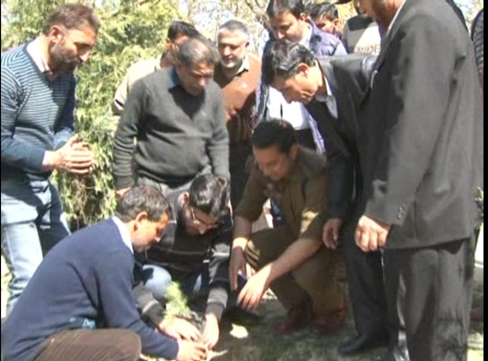 SDM Pattan inaugurates plantation drive