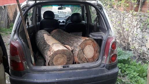 Forest protection force seize vehicle with illicit timber in Baramulla