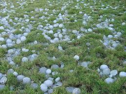Hailstorm damage Orchards crops in Baramulla