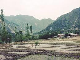 Hailstorm damage crops, walnut trees in Karnah villages