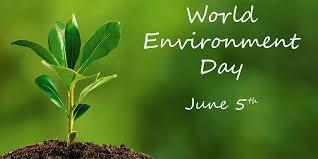WTI organises Environment Day program
