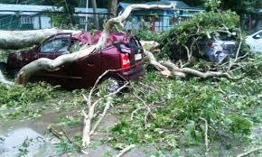 Windstorm wrecked havoc in Beerwah