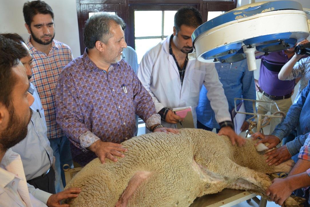 Samoon visits Vet Hospital Lal Mandi, Poultry Project Hari Parbat