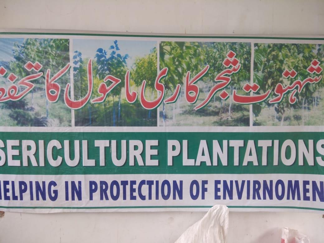 Sericulture Deptt starts cocoon market for growers in Anantnag