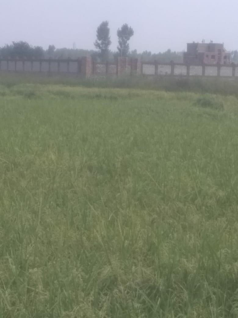 Mass land filling of Agrarian land in HMT and Hokersar areas trigger panic in locals
