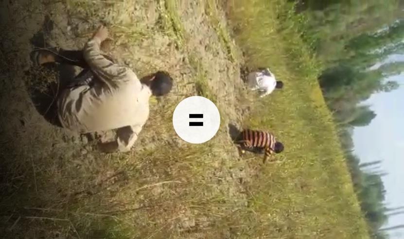 Video showing helpers, daily wagers working in Agriculture land of SDAO Beerwah goes viral on social media