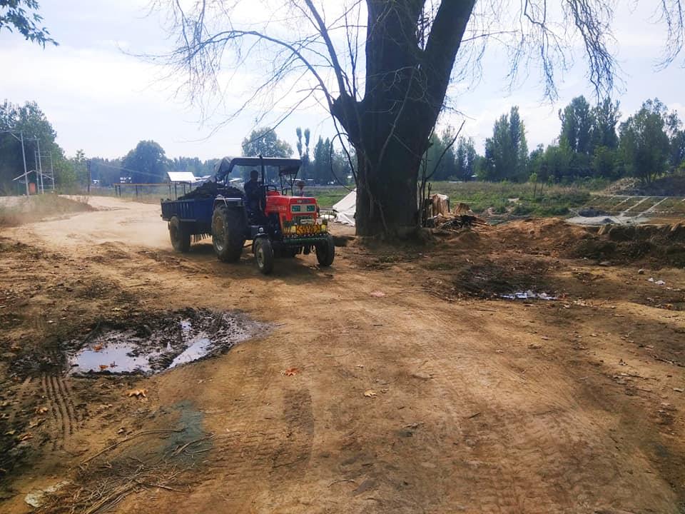 ‘Pitiable condition of Chinar trees’
