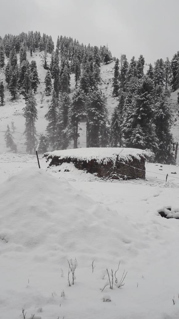 Snow in higher reaches, Bandipora-Gurez road blocked