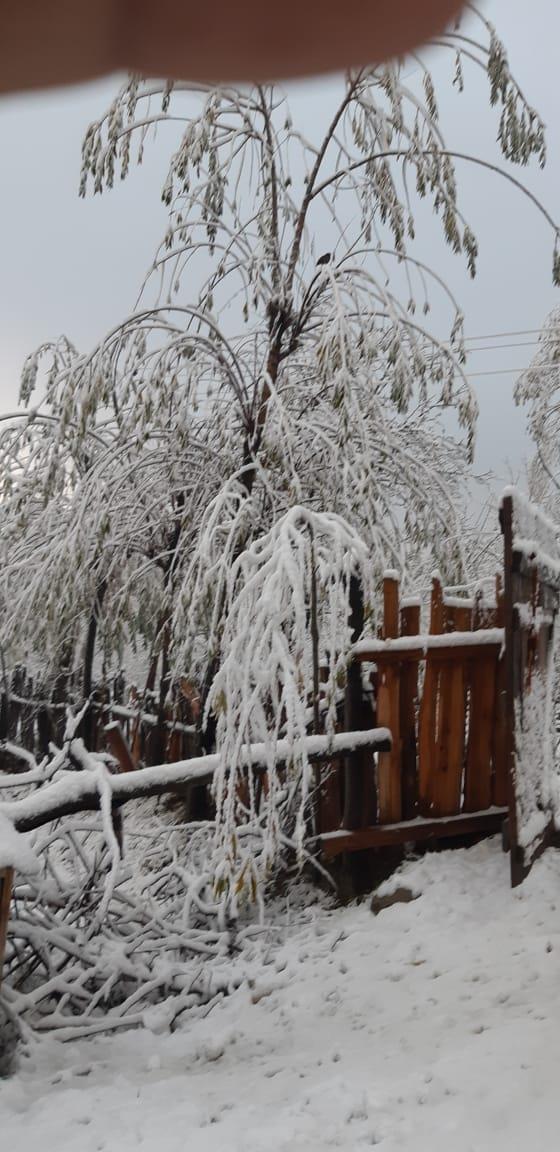 Snowfall in higher reaches of Kashmir