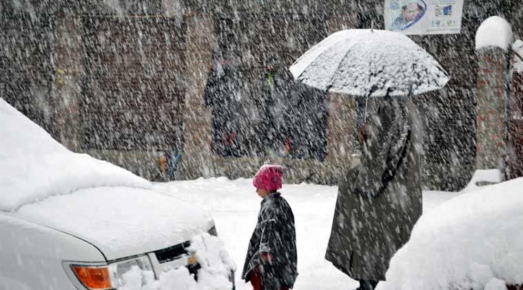 Untimely Snowfall causes damages to fruit and orchards in North Kashmir