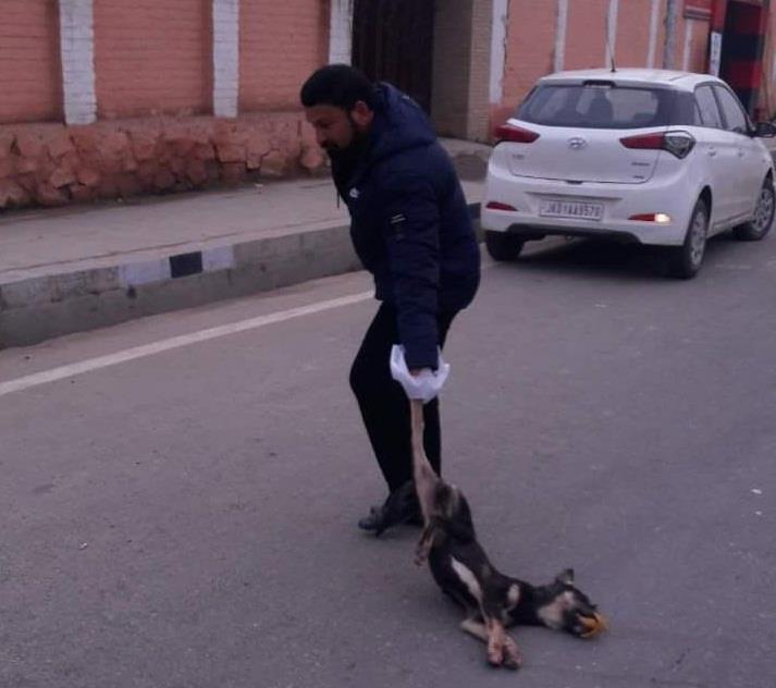 Dy Mayor hails SMC’s CSO for personally lifting a dead dog at Peerbagh Srinagar