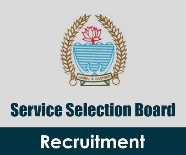 JKSSB issues interview, document verification schedule for Naib Tehsildar posts