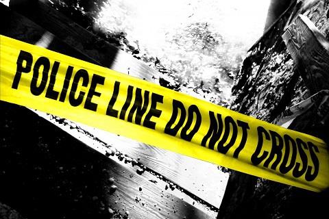 Militant killed in Tral gunfight: Police