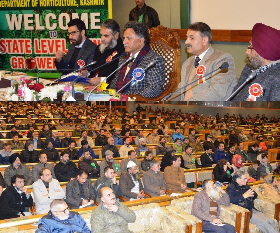 Fruit production major contributor to JK’s economic health: Advisor Ganai