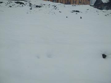 Fresh snowfall: Villages near LoC remain cutoff from district, Tehsil headquarters