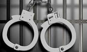 HM militant arrested in Bandipora
