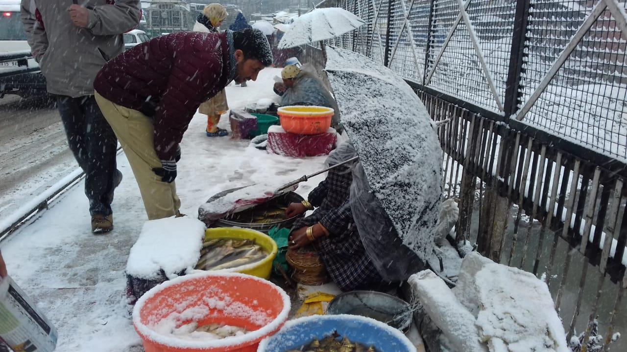 Fresh snowfall in Kashmir