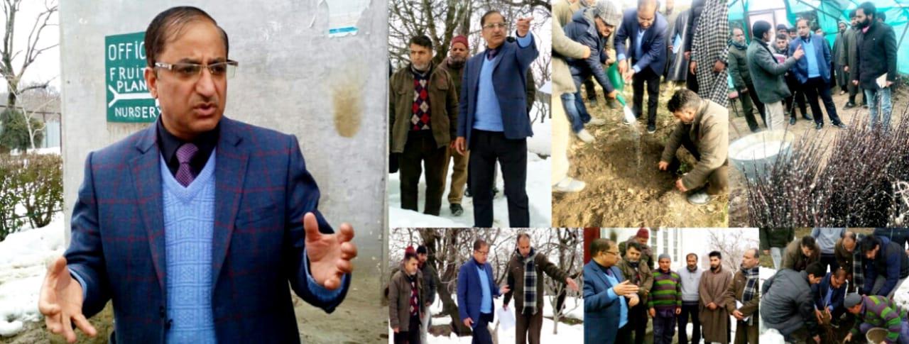 Dir horticulture Kashmir visits Shopian, kick-starts plantation drive