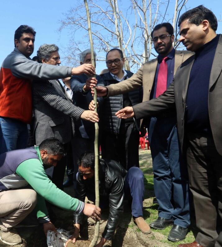 On Chinar Day, Chaar-Chinari gets new lease of life