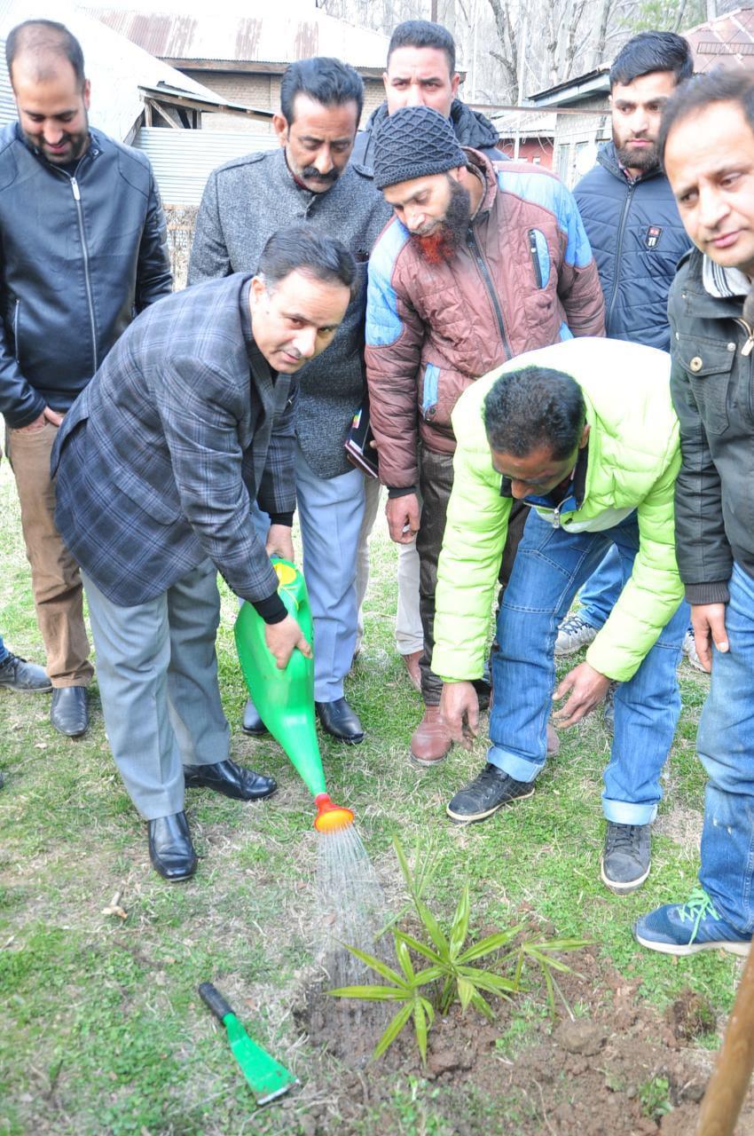 DC kick starts plantation drive at Baramulla