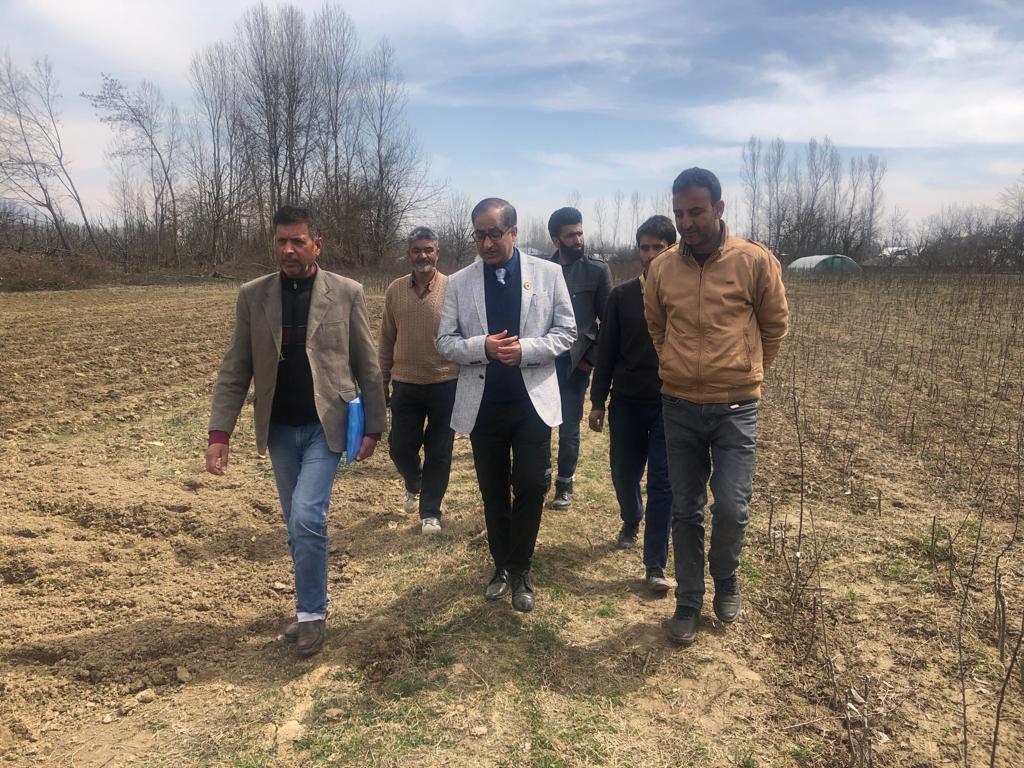 Director Horticulture Kashmir visits Kupwara: Inspects various on-going works