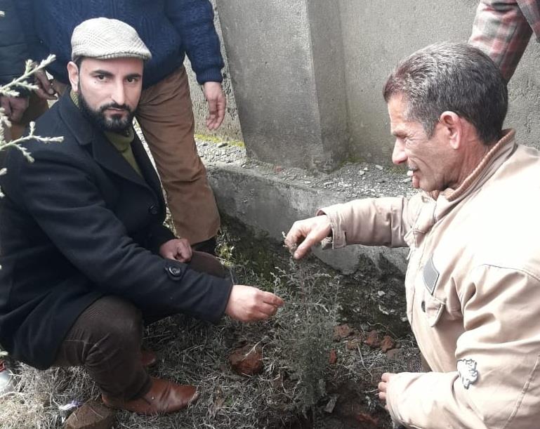 On world arbor day: Plantation drive conducted at Kupwara