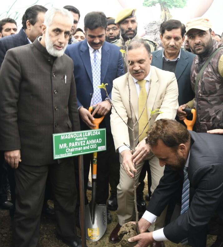 J&K Bank celebrates World Arbour Day, plants trees