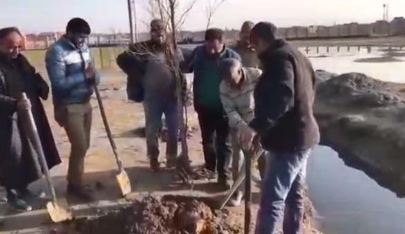 Plantation drive held at Eidgah Srinagar
