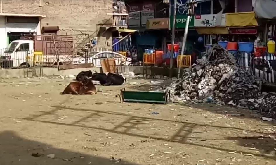 Administration failure: Public Park Kupwara turned into garbage dumping site