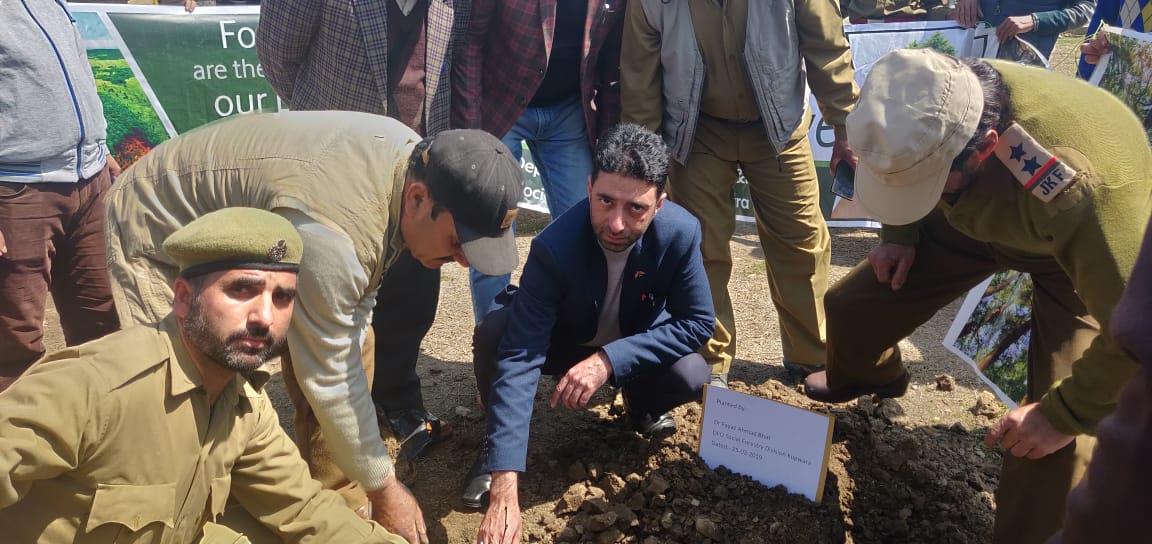 Social Forestry Deptt continues plantation drive in Sogam Kupwara