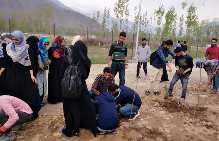 CUK holds plantation drive at Tulmulla campus