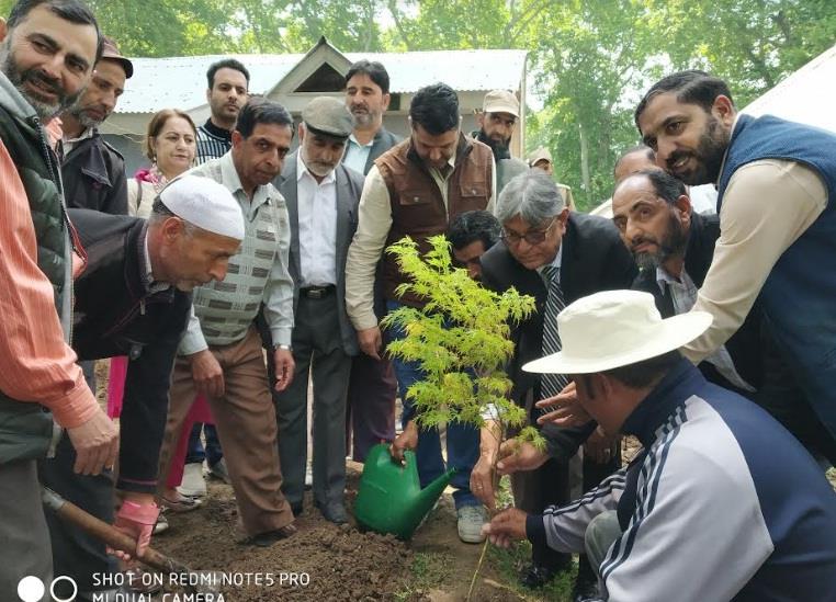 Prof Talat kick starts plantation drive at Model High School KU