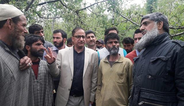 Director Horticulture visits hailstorm-affected areas