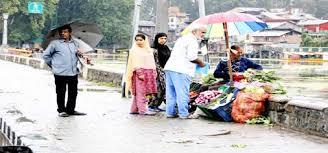 No hawker will be allowed to sell goods without license: SSP Tourism Enforcement Srinagar
