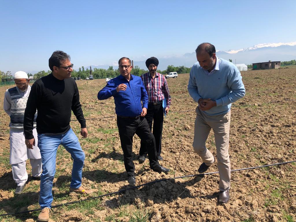 Keep strict watch on pesticide trade: Dir Horticulture