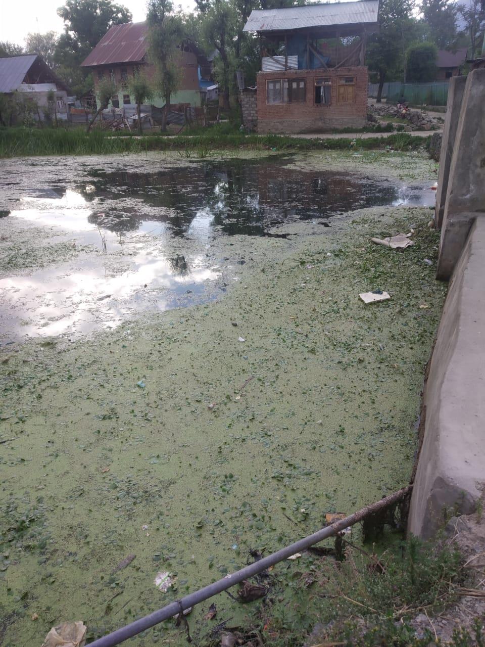 JKPM pitches for restoring pristine glory of heritage Zainageer kanal